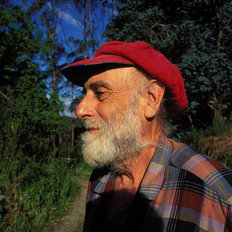 https://es.wikipedia.org/wiki/Friedensreich_Hundertwasser#/media/Archivo:Hundertwasser_nz_1998_hg.jpg 